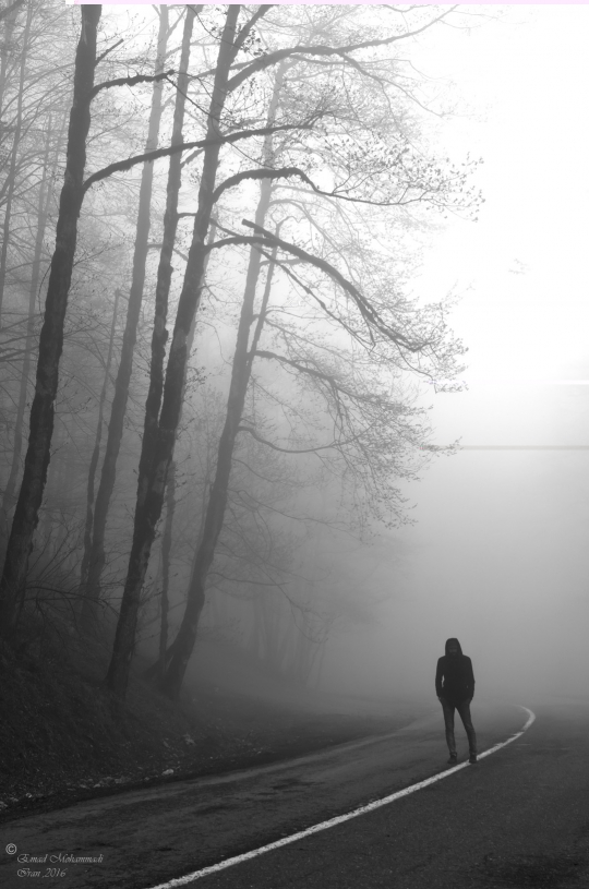 A long journey into fog